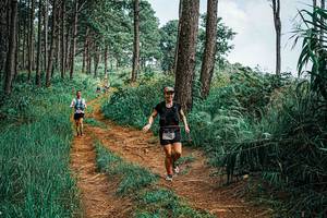 BIB: 
                            <button type="button" onclick="openModal(25659317)" class="btn btn-primary btn-sm float-right btn-popup" data-toggle="modal" data-target=".modal-high-quality">
                        <i class="fas fa-shopping-cart"></i> Add to Cart
                    </button>
                                            <button type="button" onclick="isThisMe(25659317, true)" class="btn btn-success btn-sm float-right btn-popup btn-isme hidden" data-toggle="tooltip" data-placement="bottom" title="นี่คือรูปของคุณใช่ไหม คลิกที่นี่เพื่อเอาเข้าอัลบั้ม">
                        <i class="fas fa-plus"></i> Add to album
                    </button>
                    <button type="button" onclick="isThisMe(25659317, false)" class="btn btn-warning btn-sm float-right btn-popup btn-isnotme hidden">
                        <i class="fas fa-ban"></i> Remove from album
                    </button>